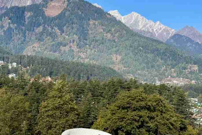 WhatsApp Image 2024-11-29 at 1.29.25 PM